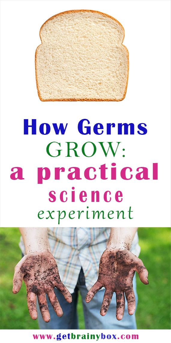 Viruses and Germs - A Practical Lesson Plan for Elementary School